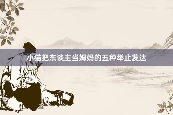 小猫把东谈主当姆妈的五种举止发达